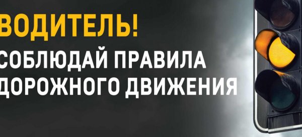 Социальная реклама соблюдения ПДД