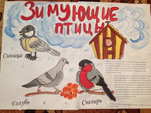 Стенгазета зимующие птицы