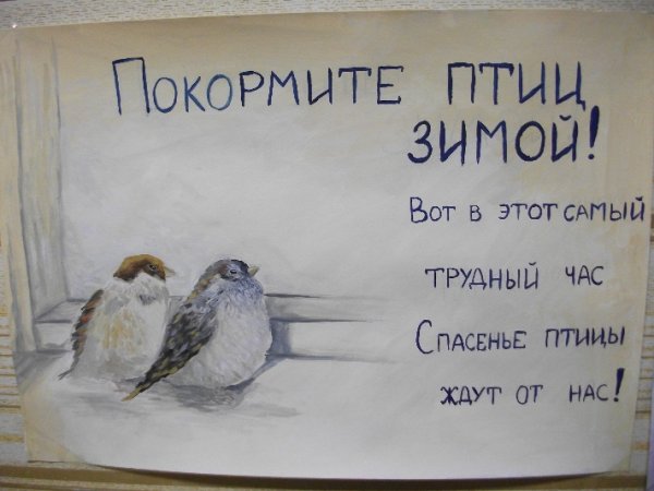 Плакат Покормите птиц