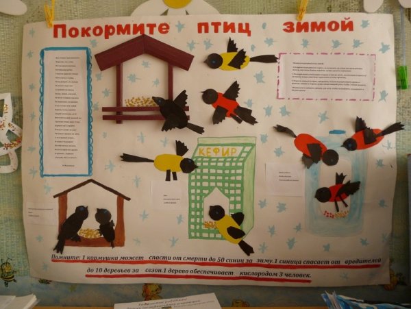 Акция день зимующих птиц в детском саду