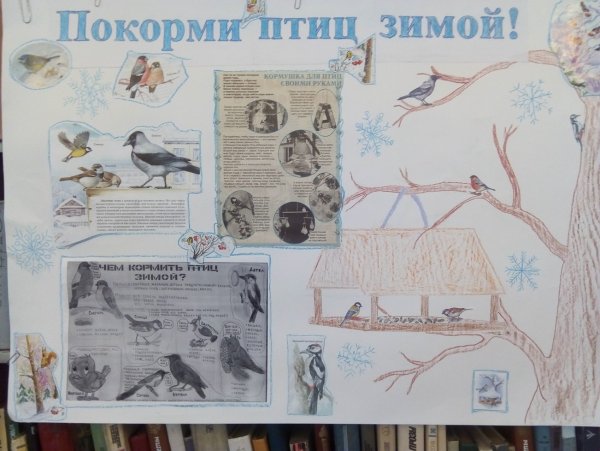 Листовки о защите птиц