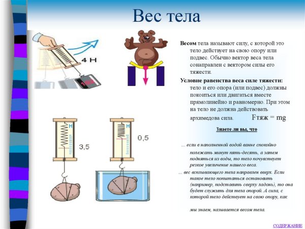 Физика тема сила