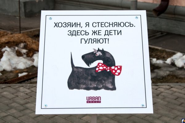 Таблички для собачников