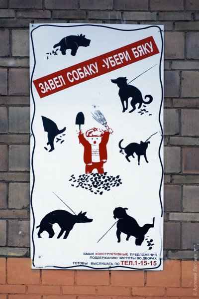 Таблички для владельцев собак