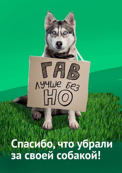 Убирайте за собаками