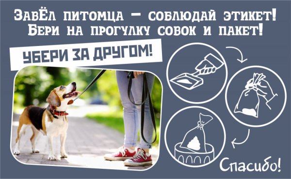 Плакат убирать за собаками