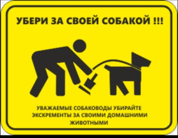 Убирайте за собаками табличка