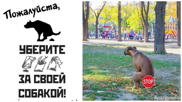 Убирайте за питомцами