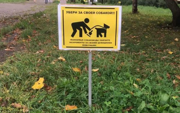 Таблички для владельцев собак