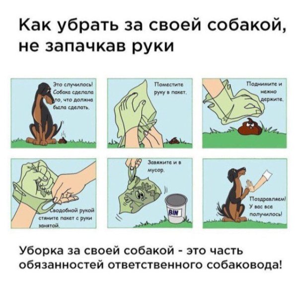 Табличка убирать за собакой