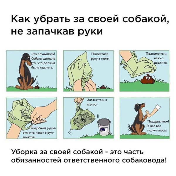 Таблички для владельцев собак