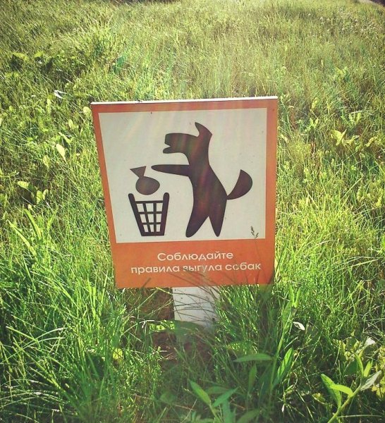 Убери за собакой