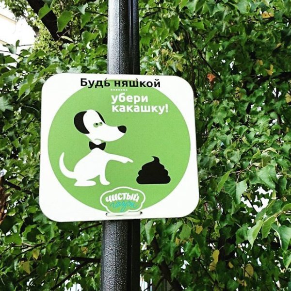 Уберите за своей собакой