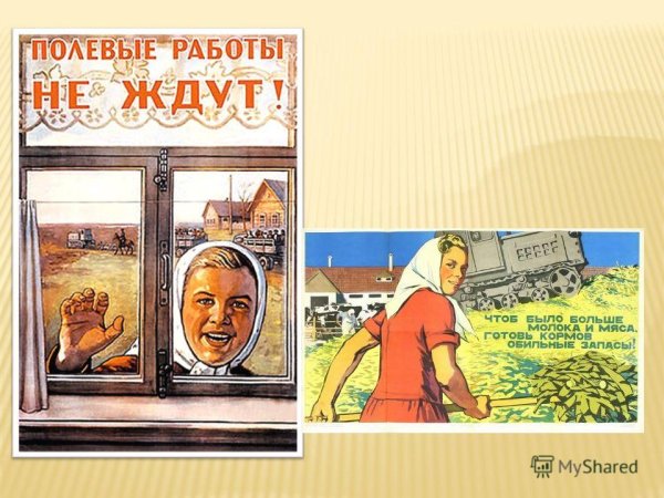 Полевые работы плакат