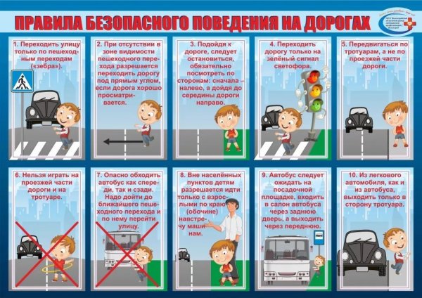 Правила поведения на дороге