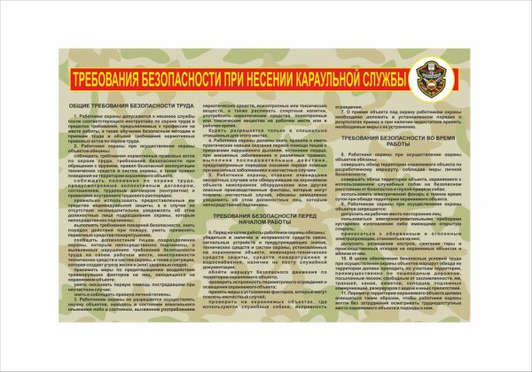 Организация и несение караульной службы