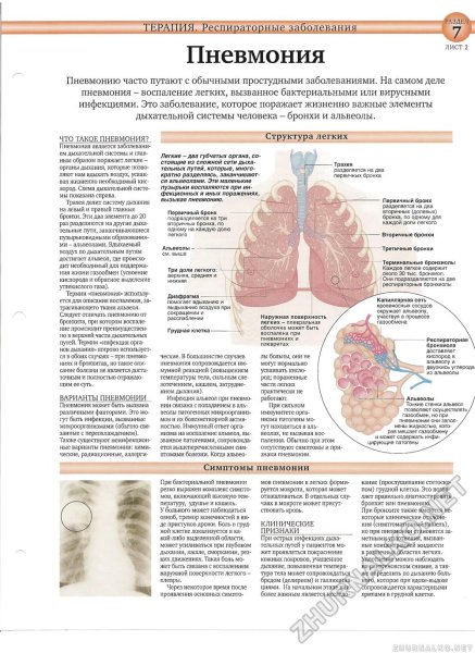 Prevention of pneumonia