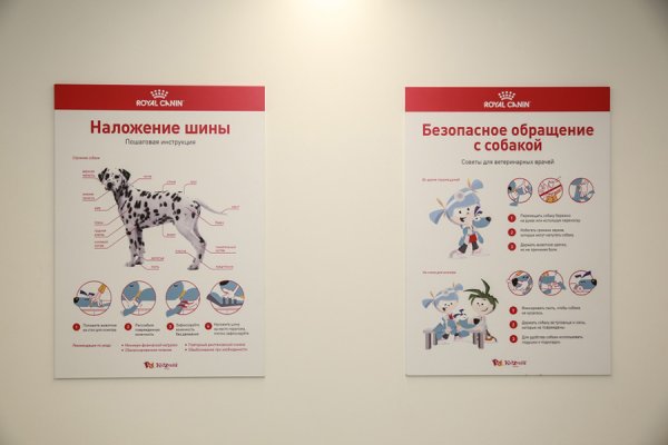 Ветеринарная клиника Роял Канин