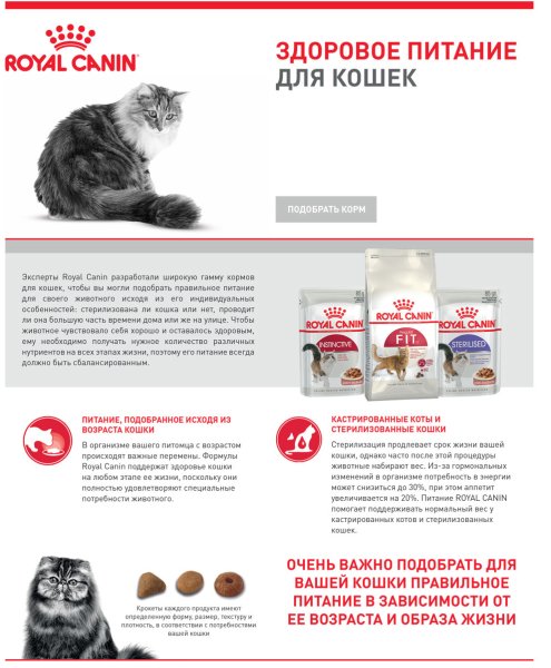 Роял Канин Постер