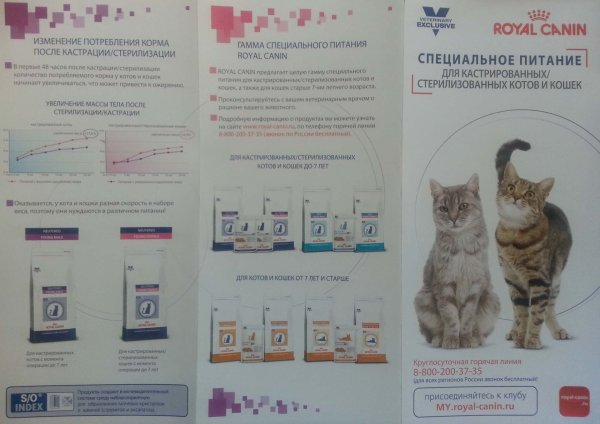 Royal Canin hepatic hf26