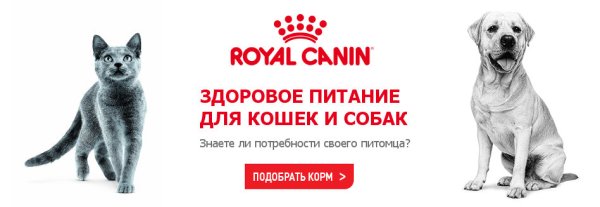 Ветеринарная клиника на профсоюзной 47