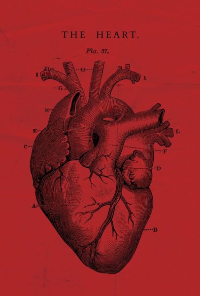 Постер "сердце"