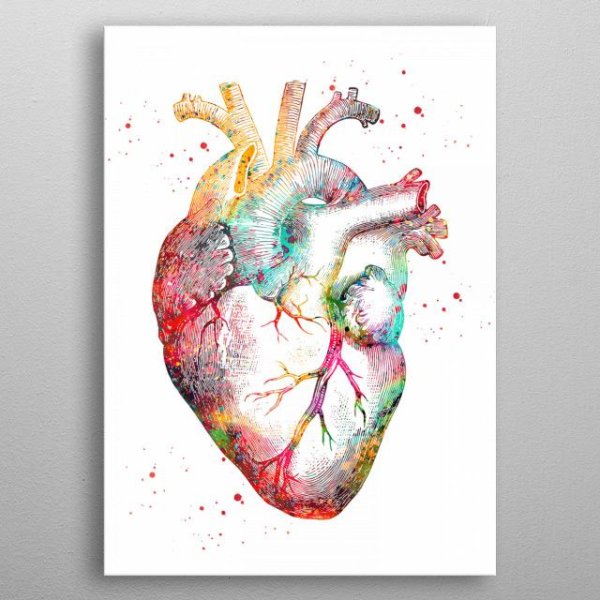 Металлическое сердце Анатомическое