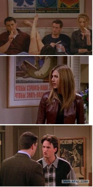 Кенгуру боксер сериал друзья