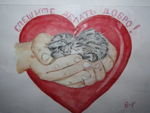 О милосердии