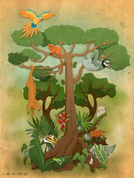 Дерево Гринпис