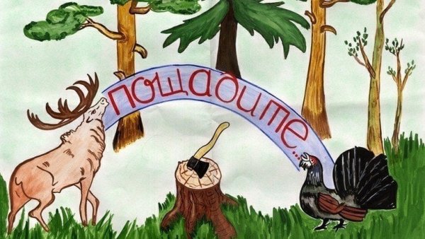 Спасите тропические леса плакат на английском