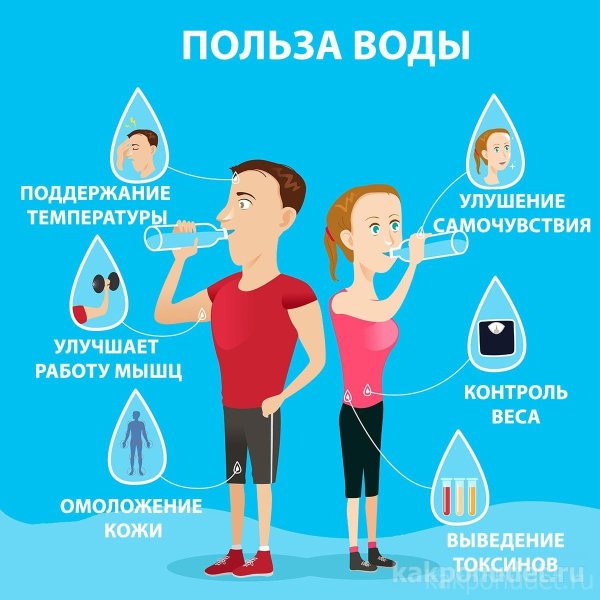 Польза воды инфографика