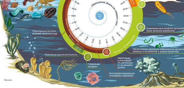 Плакат Эволюция