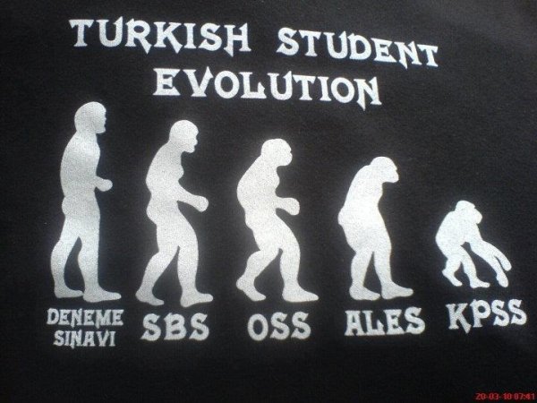 Эволюционное Древо млекопитающих