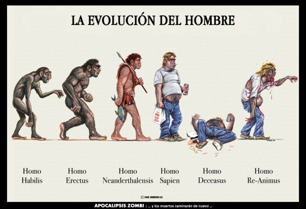 Эволюционное Древо растительного мира схема