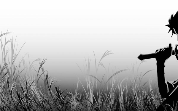 Самурай Чамплу чб