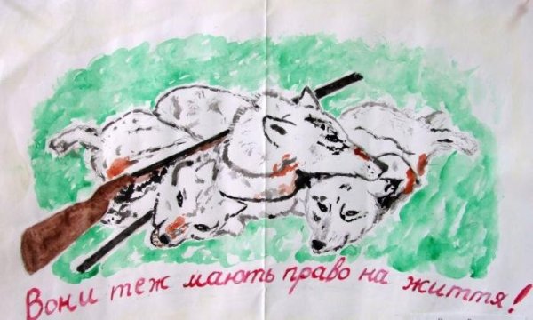 Детские рисунки на тему защиты животных