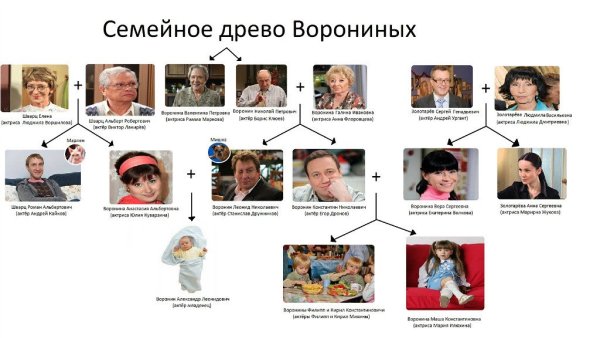 Воронины семья