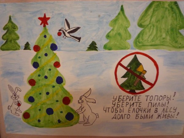 Плакат берегите елку