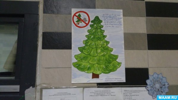 Листовки не рубите ели