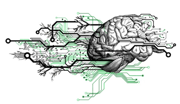 Мозг нейросеть