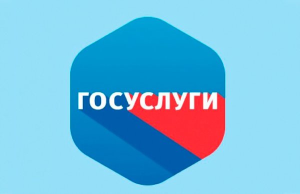Госуслуги Челябинск