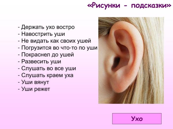 Правила пользования туалетом