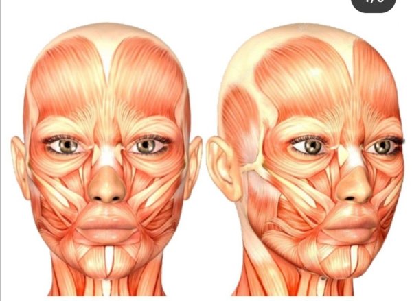 Спазмированные мышцы лица