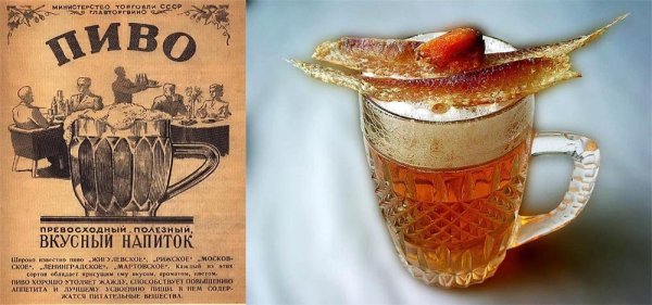 Плакат на тему нет терроризму