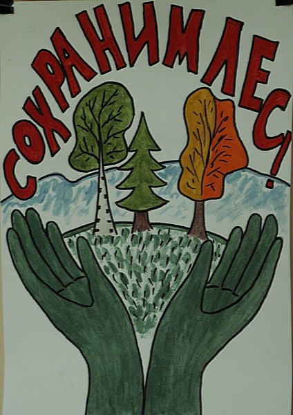 Плакат на тему защита леса