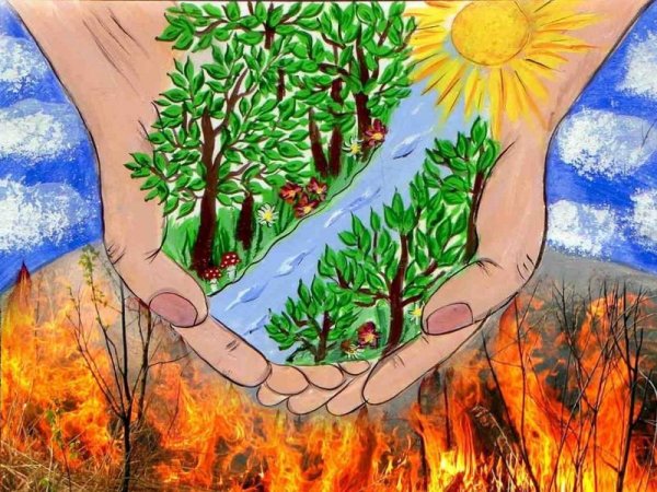 Листовки в защиту леса