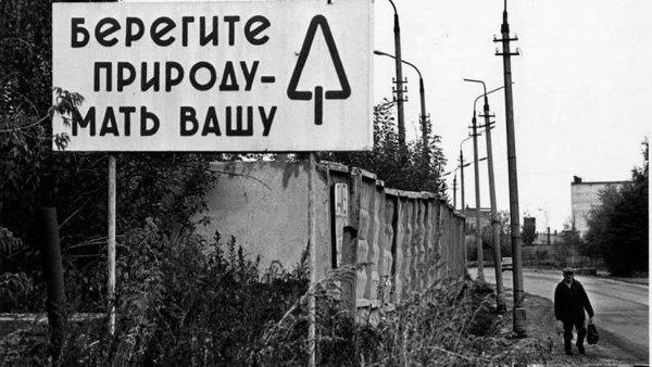 Берегите лес мать Вашу