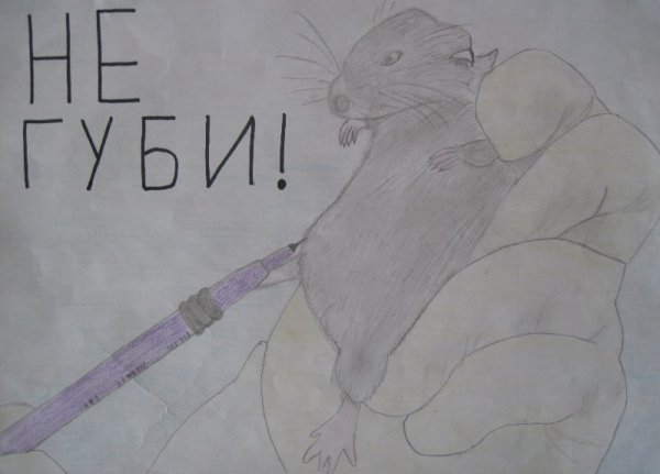 Рисунок берегите животных