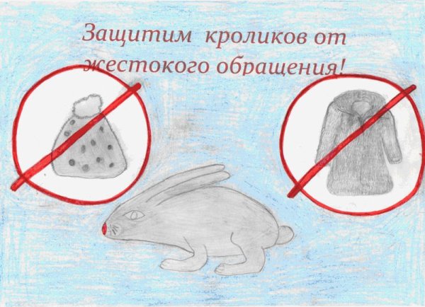 Плакат берегите животных